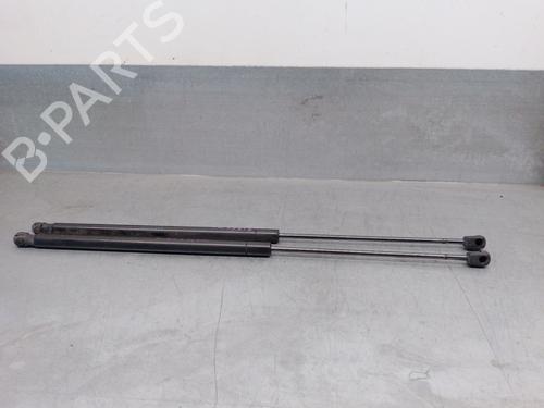 Tailgate lift support CITROËN C4 Picasso I MPV (UD_) 2.0 HDi 138 | BP20125937C138 