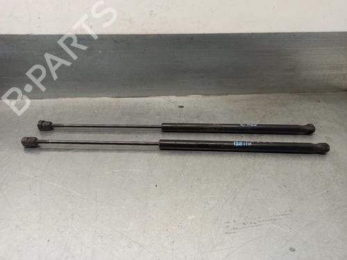 Tailgate lift support FORD FOCUS C-MAX (DM2) 1.6 | BP17896431C138 