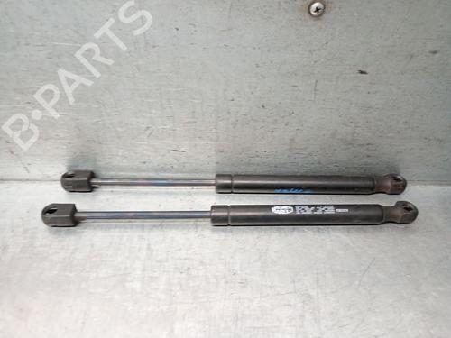 Hood lift support LAND ROVER FREELANDER 2 (L359) 2.2 TD4 4x4 | BP28704504C139 