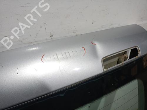 Left rear door VW CADDY III Box Body/MPV (2KA, 2KH, 2CA, 2CH) 1.9 TDI | BP30158607C4
