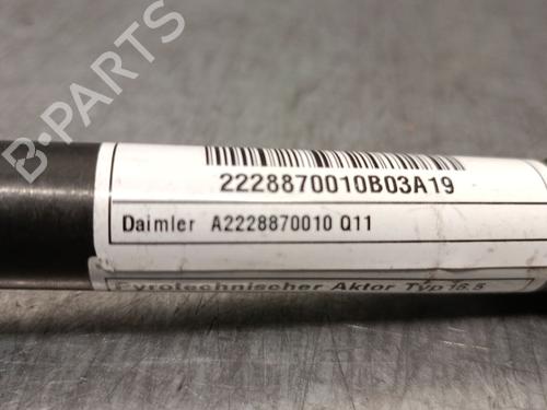 Electronic module MERCEDES-BENZ S-CLASS (W222, V222, X222) S 560 e (222.173) | BP30906863M83