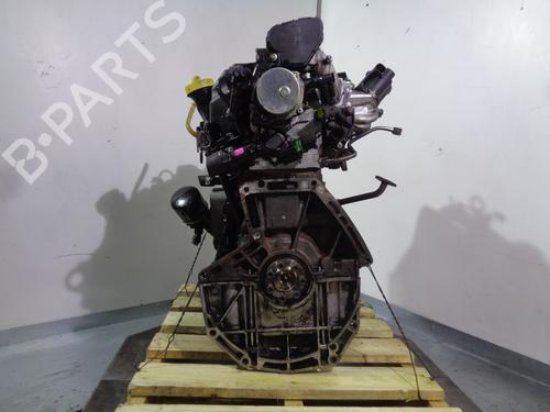 Engine RENAULT SCÉNIC III (JZ0/1_) 1.5 dCi | BP13113826M1 