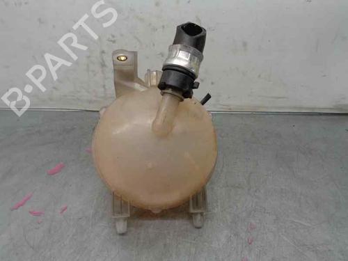 Expansion tank CITROËN BERLINGO / BERLINGO FIRST MPV (MF_, GJK_, GFK_) 1.6 HDI 75 (MF9HW, GJ9HWC, GF9HWC, GN9HWC) | BP6694611C120 