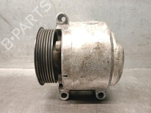Steering pump LAND ROVER RANGE ROVER SPORT I (L320) 3.0 D 4x4 | BP29455760M99 