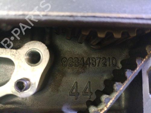Engine CITROËN C4 CACTUS 1.6 BlueHDi 100 | BP28318358M1 