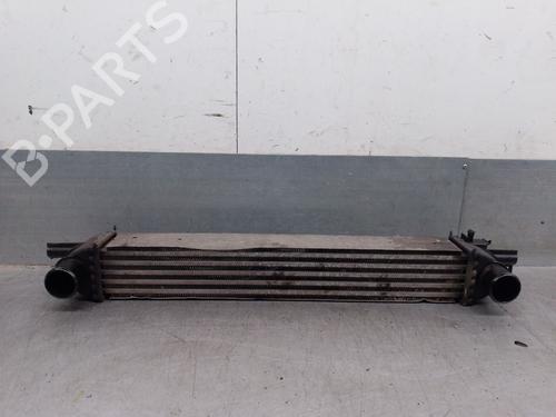Intercooler PEUGEOT BIPPER (AA_) 1.4 HDi (68 hp) 30078669