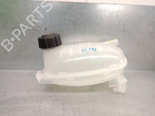 Used Expansion tank DACIA SANDERO III 1.0 TCe 90 (91 hp) 26384479