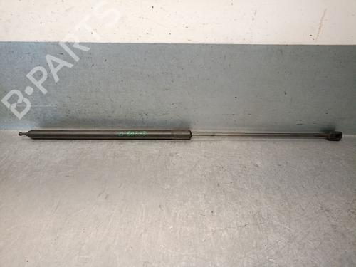 hood-lift-support-renault-megane-iii-hatchback-bz01_-b3_-2008-38093532 main image