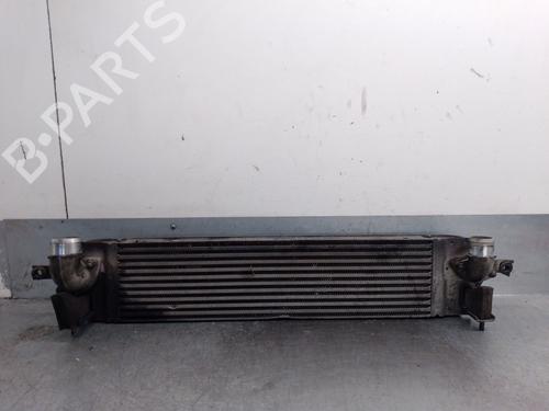 Intercooler RENAULT KOLEOS I (HY_) [2008-2026]  32145394