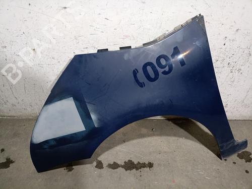 Used Left front fenders CITROËN C4 Picasso I MPV (UD_) 2.0 HDi 150 (150 hp) 25272270