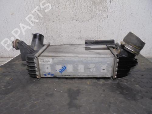 Intercooler NISSAN JUKE (F15) 1.6 DIG-T | BP9157359M30 