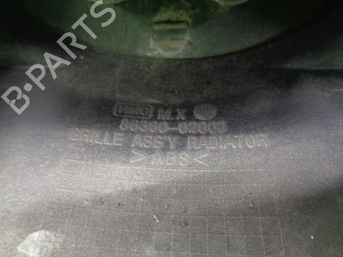 Grille HYUNDAI ATOS (MX) 1.0 i | BP10395219C40 