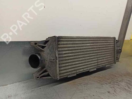 Intercooler IVECO DAILY III Bus  | BP12134244M30 