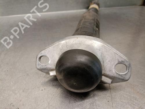 Left rear shock absorber TOYOTA C-HR (_X1_) 1.8 Hybrid (ZYX10_, ZYX11_) | BP24522912M18 