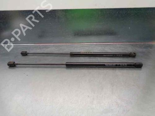 Used Tailgate lift support RENAULT MEGANE II Estate (KM0/1_) 1.9 dCi (131 hp) 20255655