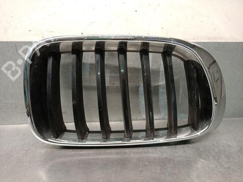 Used Grille Grille BMW X4 (F26) xDrive 20 d (190 hp) 40035967 40035967