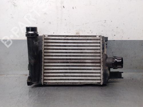 Used Intercooler Intercooler DACIA SANDERO II TCe 90 (B8M1, B8MA, B8AC) (90 hp) 40125450 40125450