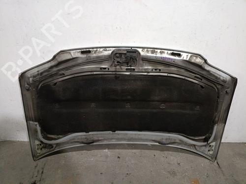 Hood VW TOURAN (1T1, 1T2) 2.0 TDI 16V | BP29406106C1 