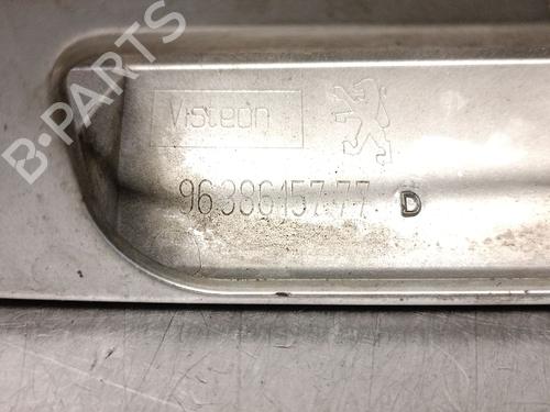 Tailgate handle PEUGEOT 307 Break (3E) 2.0 HDI 90 | BP29401364C132 