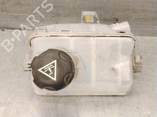 Vaso de expansão Vaso de expansão PEUGEOT 308 III (FB_, FH_, FP_, F3_, FM_) Hybrid 180 (F3DGXT, F3DGMH) (181 hp) 36755261 36755261