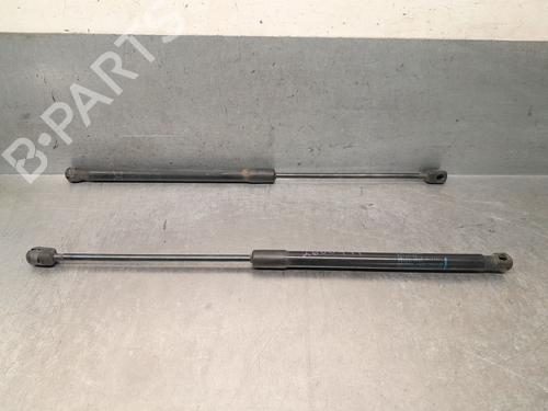 tailgate-lift-support-suzuki-swift-iv-fz-nz-2010-37442354 main image