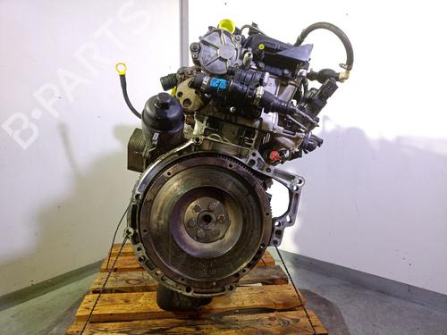 Engine SANTANA 300/350 1.6 HDi 4x4 | BP24846247M1