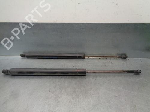 Tailgate lift support SEAT ALHAMBRA (7V8, 7V9) 1.9 TDI | BP20260481C138 