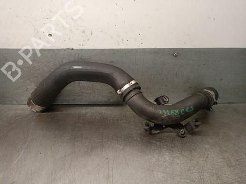 Pipe DACIA SANDERO II TCe 90 LPG (B8M1) | BP28054896M125 