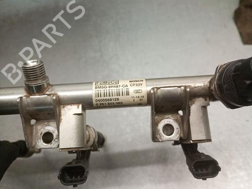 Injection rail FORD FOCUS III 1.6 EcoBoost | BP31038600M98 