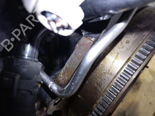 Engine SEAT IBIZA III (6L1) 1.4 TDI | BP29394088M1 