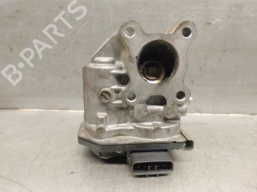 Egr NISSAN NAVARA NP300 (D40)  | BP23101898M69 