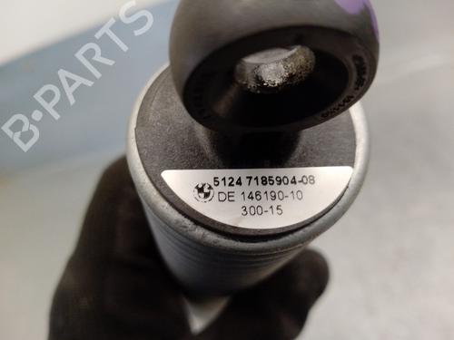 Tailgate lift support BMW 7 (F01, F02, F03, F04) 730 d | BP14329887C138 