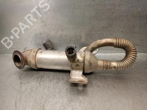 Used Egr FORD TRANSIT CONNECT (P65_, P70_, P80_) 1.8 TDCi (90 hp) 29596459