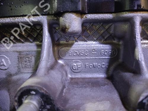 Engine FORD FOCUS III Turnier 1.0 EcoBoost | BP25288777M1 