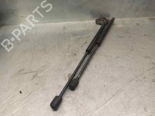 Tailgate lift support NISSAN QASHQAI I (J10, NJ10)  | BP20257087C138 