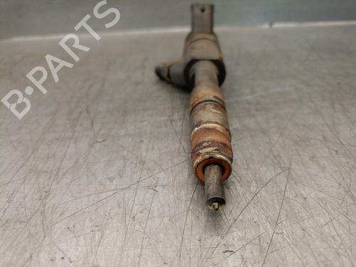 Injector RENAULT GRAND SCÉNIC III (JZ0/1_) 1.9 dCi (JZ0J, JZ0N, JZ1K, JZ1S) | BP29243202M100 