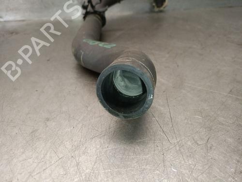 Pipe RENAULT TWINGO III (BCM_, BCA_) 0.9 TCe 90 (BCM9, BCM2) | BP29452273M125 