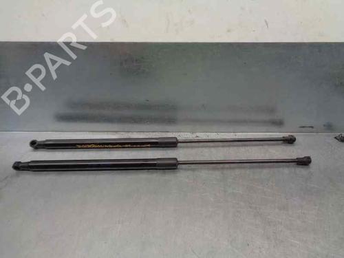 Tailgate lift support CITROËN C4 Picasso I MPV (UD_) 1.6 HDi | BP20259530C138 
