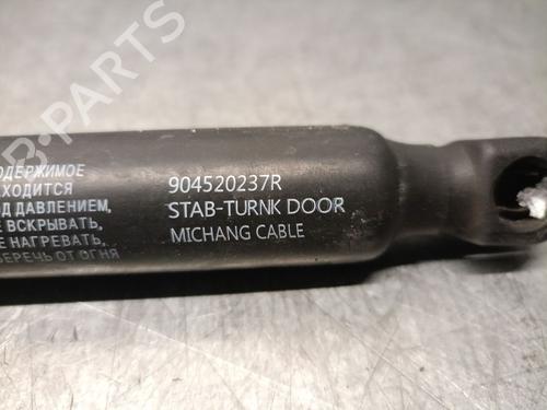 Tailgate lift support RENAULT ARKANA I (LCM_, LDN_) 1.3 TCe 140 (LDN0) | BP32267120C138