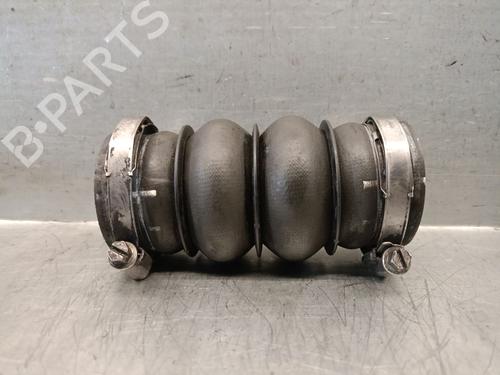 Pipe CITROËN XSARA PICASSO (N68) 1.6 HDi | BP29277493M125 