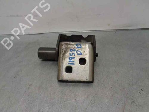 Used Hinge/Door check strap RENAULT CLIO III (BR0/1, CR0/1) 1.2 16V (BR0P, CR0P) (101 hp) 20257027