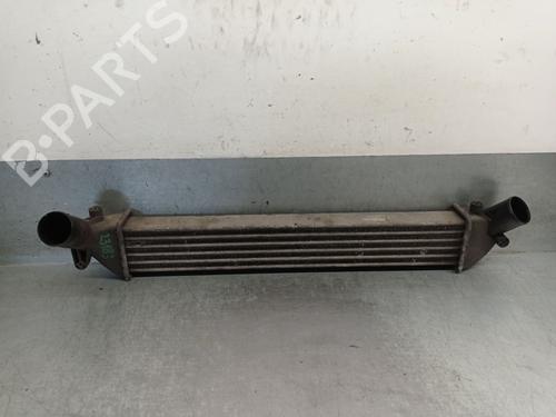 Used Intercooler RENAULT CLIO II (BB_, CB_) 1.5 dCi (100 hp) 27854908