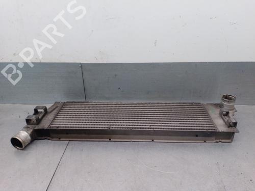 Intercooler RENAULT MEGANE II (BM0/1_, CM0/1_) 1.5 dCi (BM02, BM13, BM2A, CM02, CM13) | BP29605375M30 