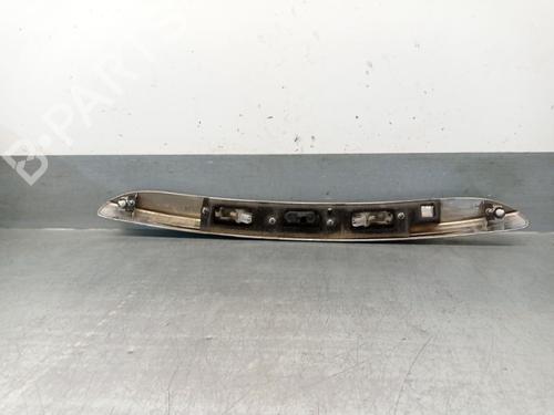 Tailgate handle RENAULT SCÉNIC III (JZ0/1_) 1.6 dCi (JZ00, JZ12) | BP29008051C132 