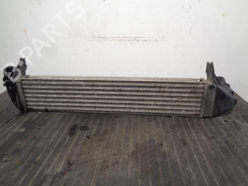 Intercooler DACIA SANDERO 1.5 dCi | BP13719198M30
