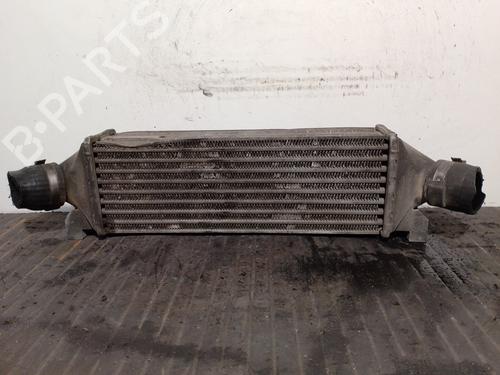 Used Intercooler FORD TRANSIT Platform/Chassis (FM_ _, FN_ _) 2.4 TDE (125 hp) 14981400