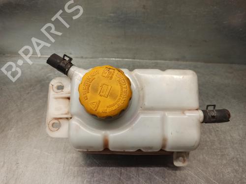 Used Expansion tank CHEVROLET AVEO / KALOS Saloon (T250, T255) 1.4 (101 hp) 10090534