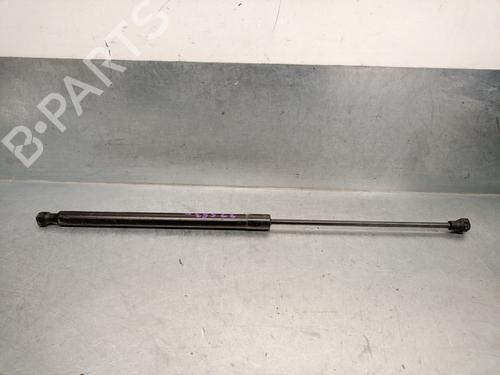 Used Hood lift support DACIA SANDERO II 1.0 SCe 75 (B8JC, B8JD) (73 hp) 25025383