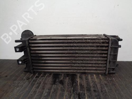Intercooler CITROËN C4 II (NC_) 1.6 HDi 115 | BP13366972M30 