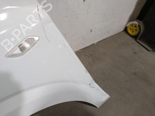 Left front fenders DACIA SANDERO III 1.0 TCe 90 | BP28513998C41